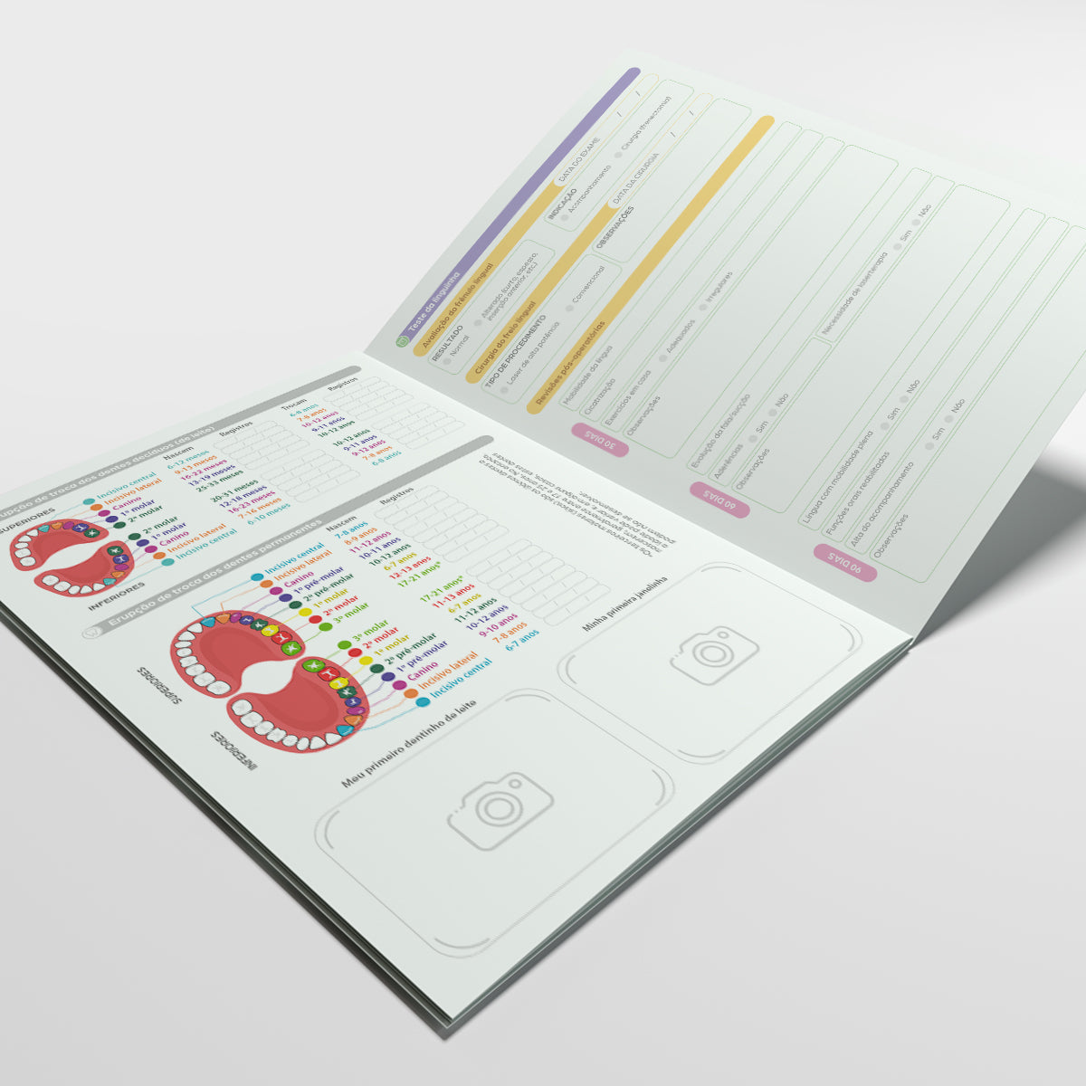 Carteira de Acompanhamento Odontológico Profissional 12 Páginas | Modelo 009