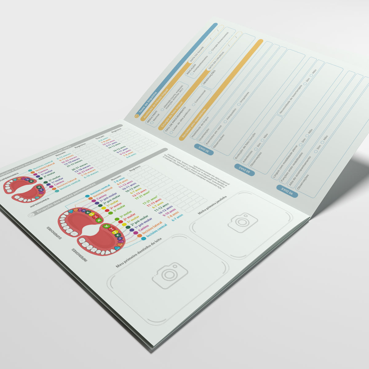 Carteira de Acompanhamento Odontológico Profissional 12 Páginas | Modelo 011